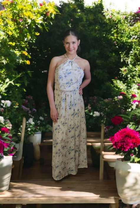 Blue Garden Dress